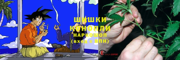 молекула духа Верхний Тагил