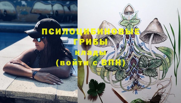 крисы Волоколамск
