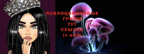 мдпв Володарск