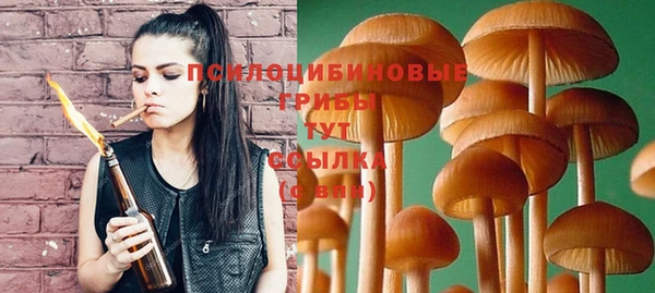 прущие грибы Сафоново
