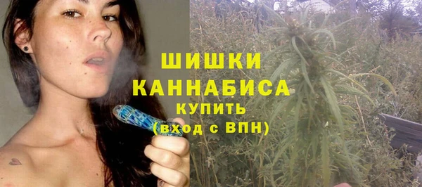 гашик Верея