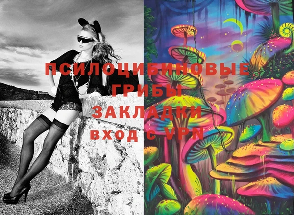 молекула духа Верхний Тагил