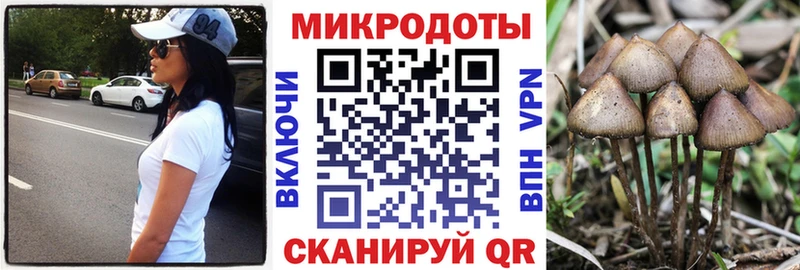 Галлюциногенные грибы Cubensis  Вихоревка 